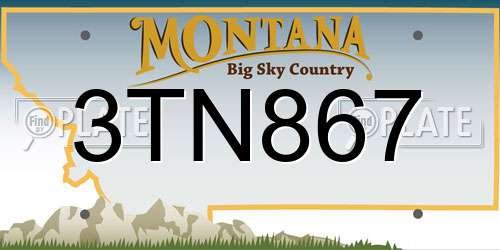 3TN867 Montana License Plate