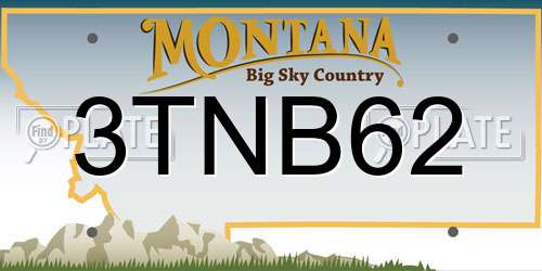 3TNB62 Montana License Plate