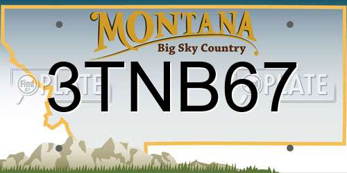 3TNB67 Montana License Plate