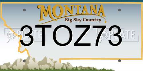 3TOZ73 Montana License Plate