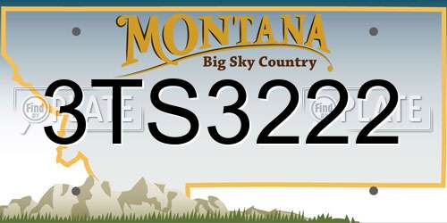 3TS3222 Montana License Plate