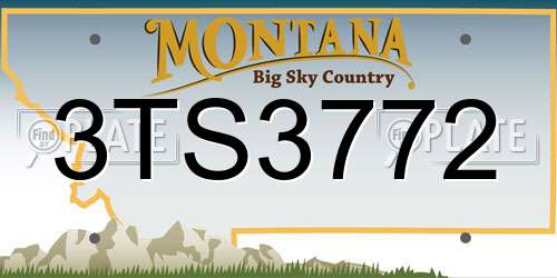 3TS3772 Montana License Plate