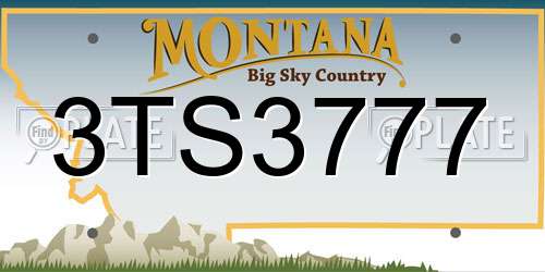 3TS3777 Montana License Plate