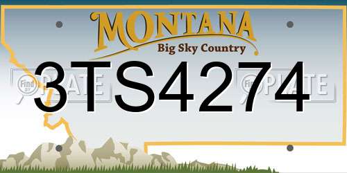 3TS4274 Montana License Plate
