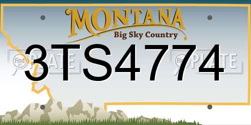3TS4774 Montana License Plate