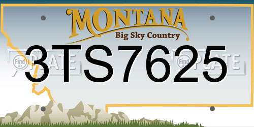 3TS7625 Montana License Plate