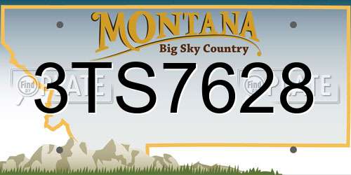 3TS7628 Montana License Plate