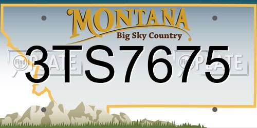 3TS7675 Montana License Plate