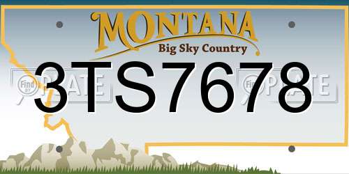 3TS7678 Montana License Plate