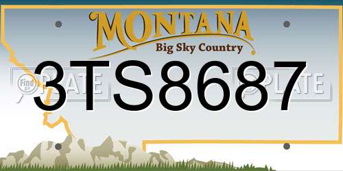 3TS8687 Montana License Plate
