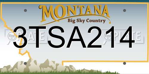 3TSA214 Montana License Plate