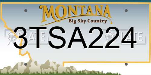 3TSA224 Montana License Plate