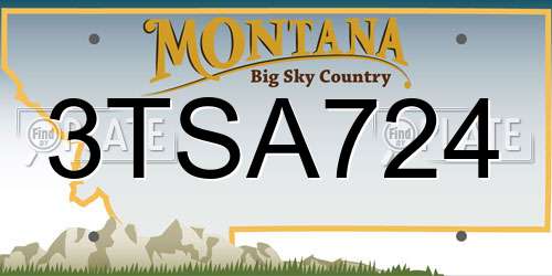 3TSA724 Montana License Plate