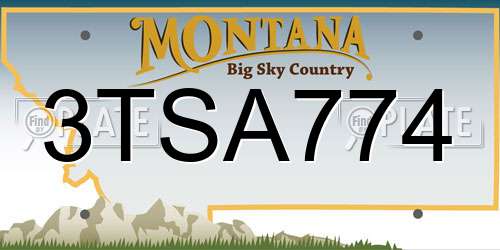 3TSA774 Montana License Plate