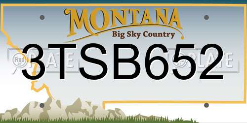 3TSB652 Montana License Plate