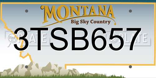 3TSB657 Montana License Plate