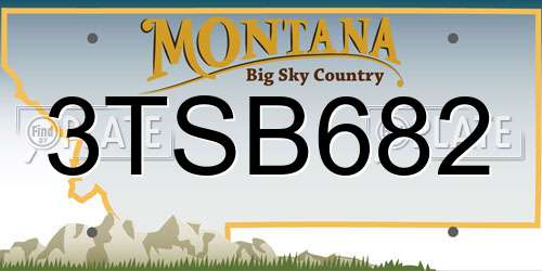 3TSB682 Montana License Plate