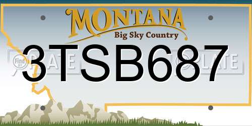 3TSB687 Montana License Plate