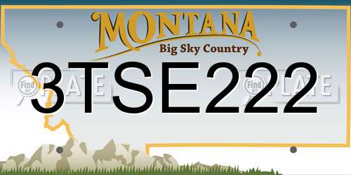 3TSE222 Montana License Plate
