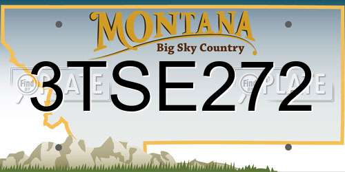 3TSE272 Montana License Plate