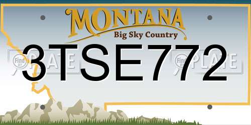 3TSE772 Montana License Plate