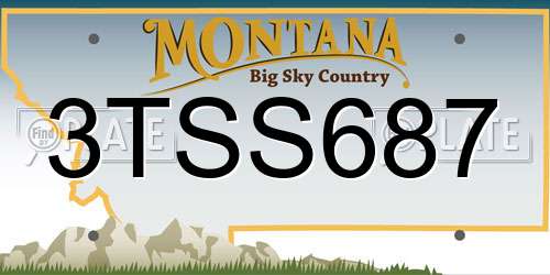 3TSS687 Montana License Plate