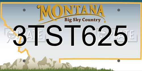 3TST625 Montana License Plate