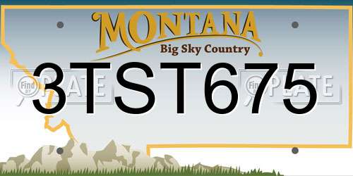 3TST675 Montana License Plate