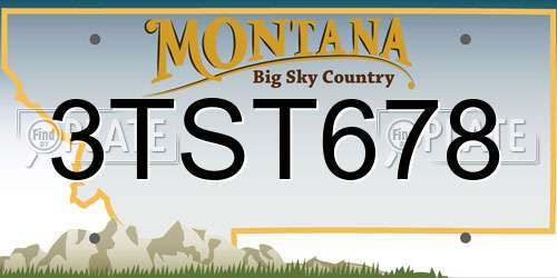 3TST678 Montana License Plate