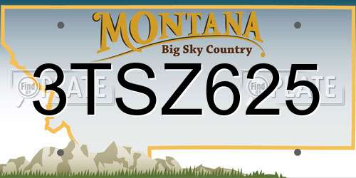 3TSZ625 Montana License Plate