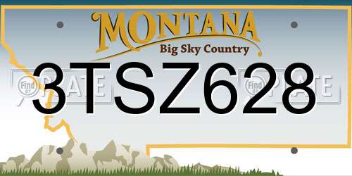 3TSZ628 Montana License Plate