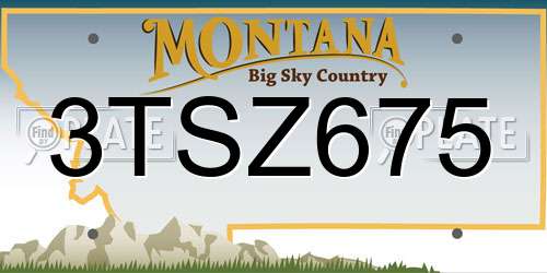 3TSZ675 Montana License Plate