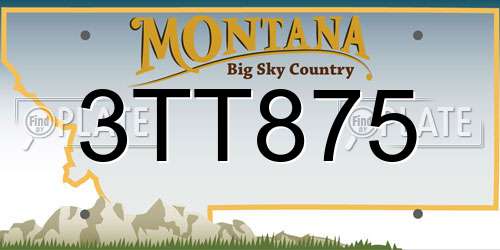 3TT875 Montana License Plate