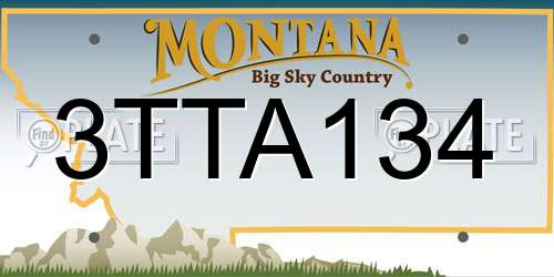 3TTA134 Montana License Plate