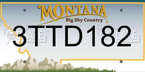 3TTD182 Montana License Plate