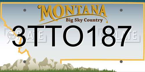 3TTO187 Montana License Plate