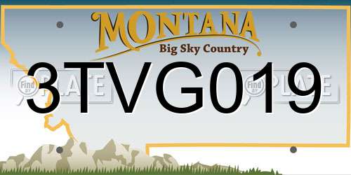 3TVG019 Montana License Plate