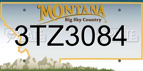 3TZ3084 Montana License Plate