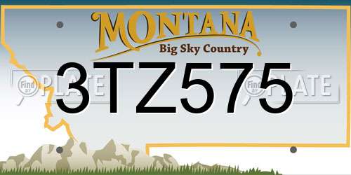 3TZ575 Montana License Plate