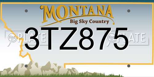 3TZ875 Montana License Plate