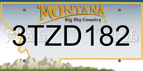 3TZD182 Montana License Plate