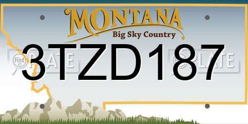 3TZD187 Montana License Plate