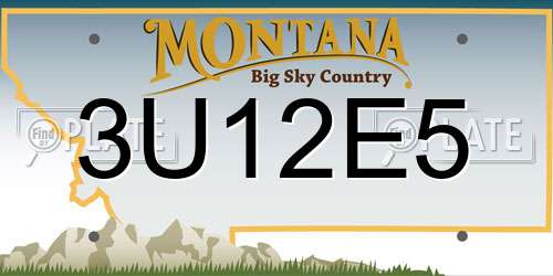 3U12E5 Montana License Plate