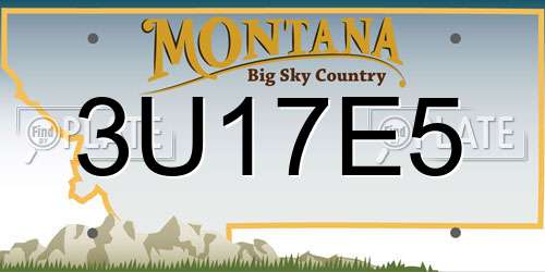 3U17E5 Montana License Plate