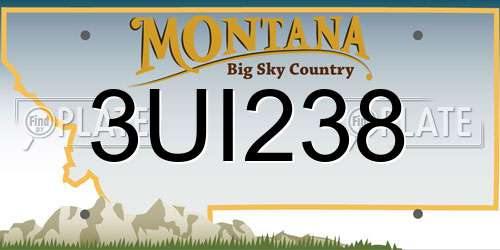 3UI238 Montana License Plate