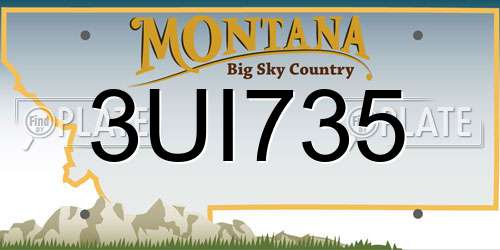 3UI735 Montana License Plate