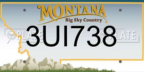 3UI738 Montana License Plate