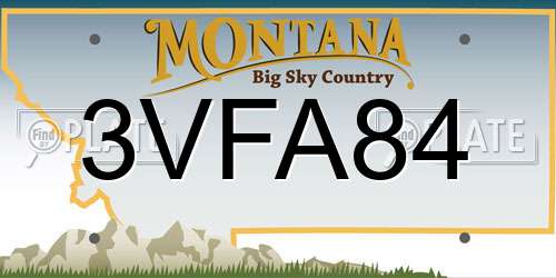 3VFA84 Montana License Plate