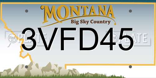 3VFD45 Montana License Plate