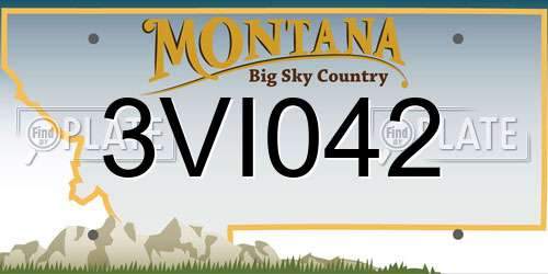 3VI042 Montana License Plate